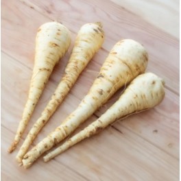 Llavor Xirivia Turga (ecològica)