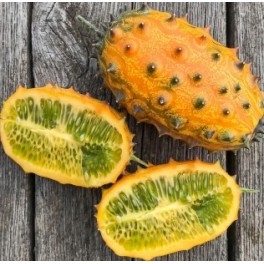 Semilla Kiwano Concombre Cornu d’Afrique (ecológica)
