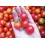 Semente de tomate Mel do México (orgânico)