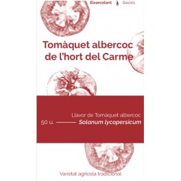 Graines de Tomate abricot du verger Carmen (tradicionnel catalan).