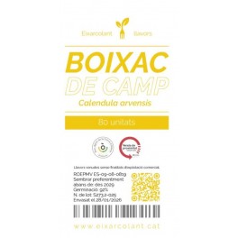Llavor Boixac de camp (tradicional català)