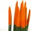 Sansevieria puntas naranja grande + cubremacetas yute (maceta 12 cm Ø) ejemplar único