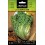 Llavor Xicòria dent de lleo
