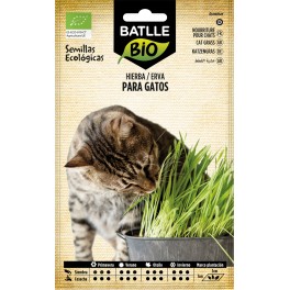 Semilla hierba para gatos (ecológica)