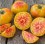 Graines de Tomate Bigarrée Tardive Tuxhorn (biologique)