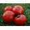 Semilla tomate Venus's Nipple (ecológica)
