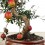 Magraner 10 anys bonsai exemplar únic