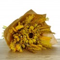 Bouquet Sec Briseis.