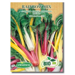 Semente de acelga Rainbow Mix (orgânico)