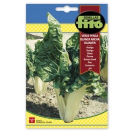 Semente de acelga verde Blanver