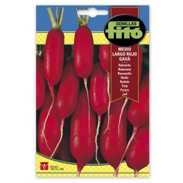 Semente de rabanete vermelho Gavà