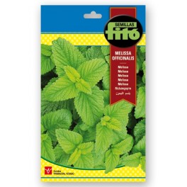 Semente de melissa
