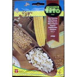 Graine de Maïs pour Pop-corn.