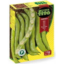 Semente de fava Fabiola (tipo Aguadulce)