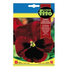 Swiss Giant Pansy Seed Red Black Center