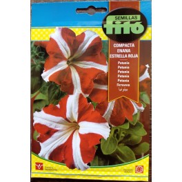 Semilla Petunia compacta enana estrella roja