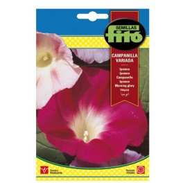 Llavor Ipomea Campanilla variada