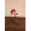 Orquídia Phalaenopsis mini (1 vara de flors)