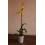 Orquídia Oncidium (1 vara de flors)
