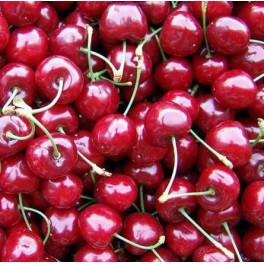 Cherry Lapins