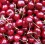 Cherry Lapins