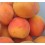 Apricot Moniquí
