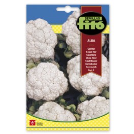 Llavor Coliflor Alba