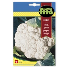 Llavor Coliflor Premià