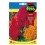 Llavor Celosia plumosa variada