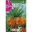 Bulb de frittillaria imperialis