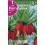 Bulb de frittillaria imperialis