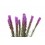 Liatris