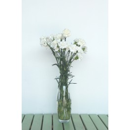 Ramo de Clavel Blanco
