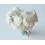 Ramo de Clavel Blanco