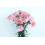 Ramo de Clavel Rosa Claro