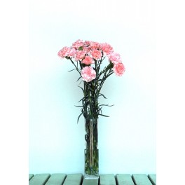 Ramo de Clavel Rosa Claro
