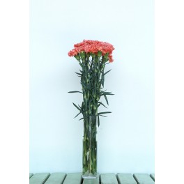 Buquê de cravo rosa escuro