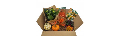 Complementos Halloween