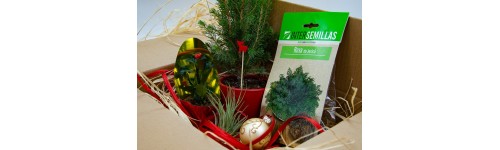 Idees de regal de Nadal