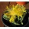 Faucaria