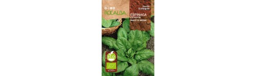 Ecològica per a professional