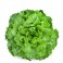 Alface e outros para salada profissional
