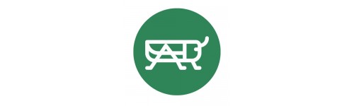 Cicadélidos