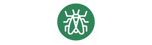 Mosquit verd