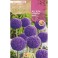 Bulbs d'allium