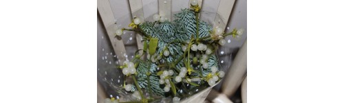 Gui, eucalyptus et mousse pour crèche