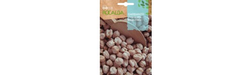 Graines de pois chiches et lentilles