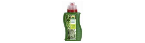 Adob plantes aromàtiques