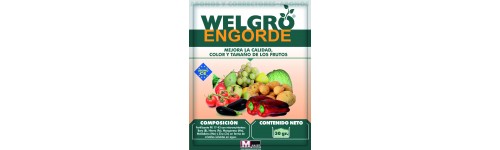 Para la fructificación