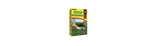 Césped para resembrar